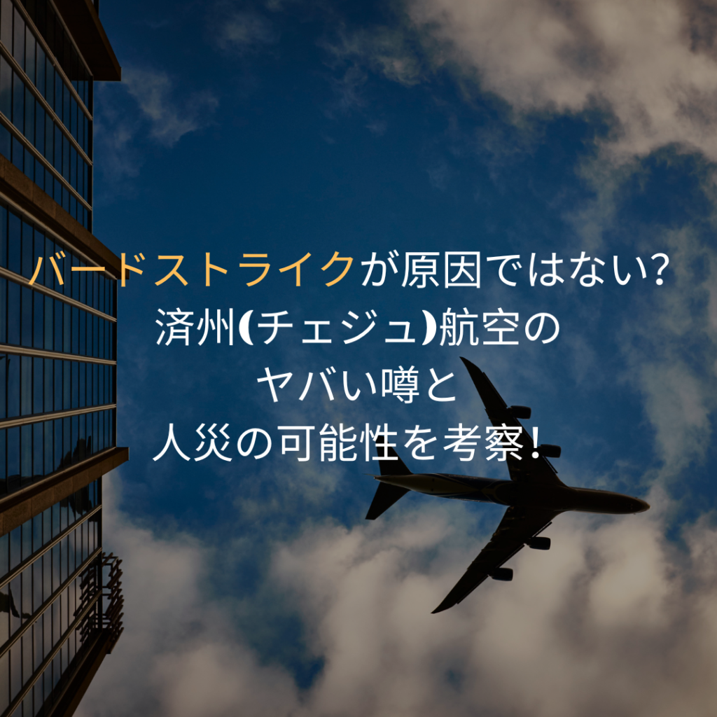 バードストライクが原因ではない？済州（チェジュ）航空のヤバい噂と人災の可能性を考察！